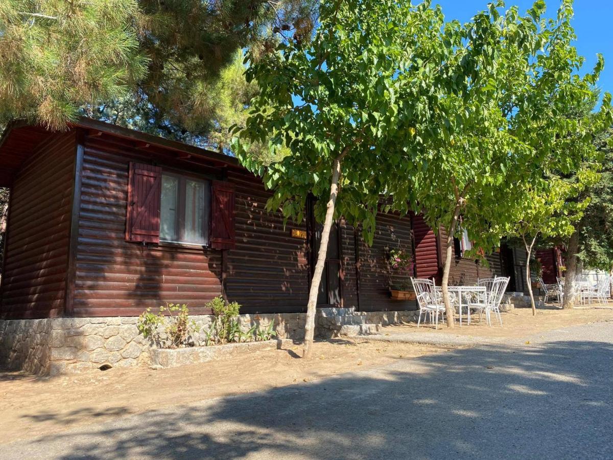 Bungalow - Camping Apollon Delphi Dış mekan fotoğraf